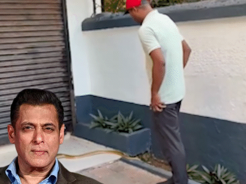 Salman Khan House Snake Video; Galaxy Apartment Rescue Photos