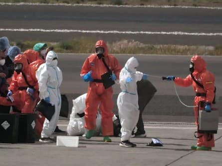 Hantavirus Cases Rise: US, France & Spain Residents Infected
