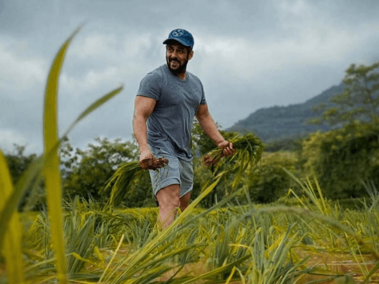 Salman Khan Defamation Case | Court Orders Neighbour To Remove Videos